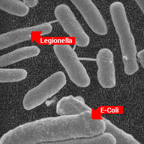 imagen microscopica de membrana de ultrafiltracion